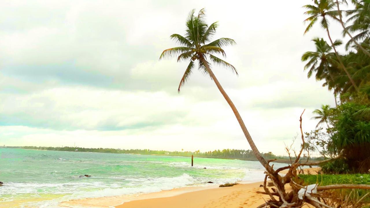 Akurala Beach Boutique Resort Exteriér fotografie