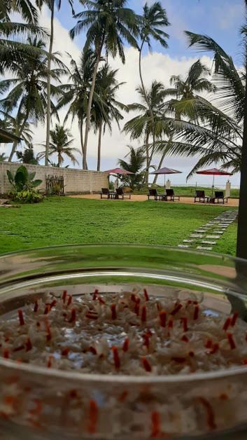 Akurala Beach Boutique Resort Exteriér fotografie